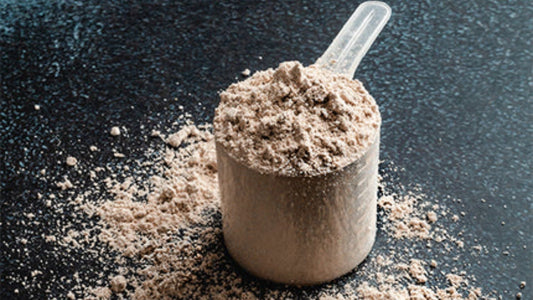 Whey Protein Isolado: O Que Precisas de Saber Para Ganhar Massa Muscular